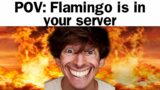 When Flamingo is in your Roblox server…