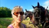 When the crops are bad… we have to IMPROVISE! // Draft Horses Hauling Logs