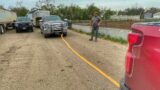 Wild Cow, Dead Truck