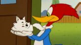 Woody Woodpecker | Woody the Dog Sitter + More Full Episodes