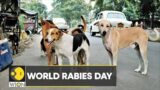 World Rabies Day: Manali strays to the rescue | India's street dogs