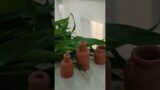 #miniature | vases terracotta decorative for home terracotta Clay pots