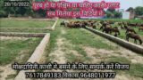 plot in varanasi | holapur | varanasi  | property in varanasi | residential | #plotforsale