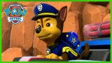 1 Hour! Mighty Pups Rescues with Chase | PAW Patrol | Cartoons for Kids Compilation