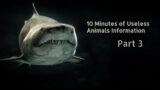 10 Minutes Of Useless Animals Information Pt3