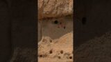 Mars: Perseverance Rover – Find an entrance at the base of the mountain #shorts