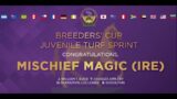 2022 Breeders' Cup Juvenile Turf Sprint – Mischief Magic