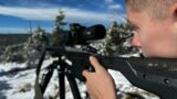 7mm PRC vs Elk: Testing out a copper bullet