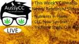 @AussyCC Live; Nutrients in Plants, IEC = CEC + AEC, Syn-leaf, Trichome Study