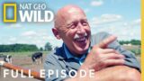 A Polapalooza (Full Episode) | The Incredible Dr. Pol