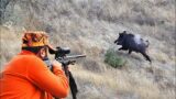 AZILI YABAN DOMUZU AVI, GIANT MONSTER WILD BOAR HUNTING, HOG HUNTS, PIG, Poison Arrow Hunting Wolves