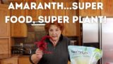 Amaranth…Super Food, Super Plant!
