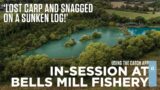 Baiting Pole Heaven, Lost Fish and Snagged on a Sunken Log | In-Session at Bells Mill Fishery