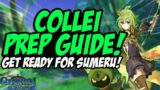 COLLEI'S BUILD GUIDE! TALENTS, BEST WEAPONS, BEST ARITFACTS AND TEAM COMPS | Genshin Impact