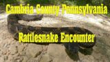 Cambria County Pennsylvania Rattlesnake
