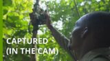 Camera traps advance alongside Gabon's conservation efforts