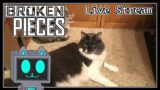 Cats Leave Things In Broken Pieces | Broken Pieces with the Cats