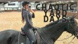 Chaotic days at the yard – day in the life of gizmo, jumping sonny??, riding gee and moreeeeeee