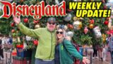 DISNEYLAND UPDATE! WHAT NEW THIS WEEK? Christmas Tree is BACK for 2022! More New Merch,Treats & RAIN