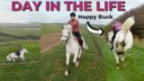 Day in the Life of my pony Casper | This Esme AD