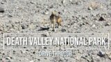 Death Valley National Park- Drive Through