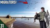 Decoying Migrating GEESE From the HEAVENS! | Hunting Ducks and Geese on FREEZING Water