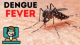 Dengue fever symptoms diagnosis treatment | Dengue fever in Hindi
