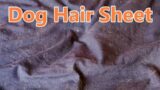 Dog Hair Sheet | Zipp Brush To The Rescue