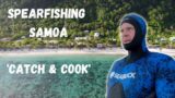 EPIC SPEARFISHING AND DIVING SAMOA TROPICAL ISLAND