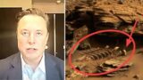 Elon Musk Just Revealed NASA's TERRIFYING Discovery On Mars They're Hiding From Us!
