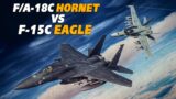 F-15C Eagle Vs F/A-18C Hornet DOGFIGHT | Digital Combat Simulator | DCS