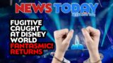 Fugitive Caught at Disney World, Fantasmic! Returns