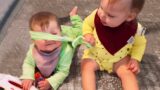 Funny Baby and Siblings Trouble Maker – Funny Baby Videos || Cool Peachy