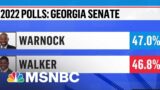 Georgia Voters Break Early Voting Record Amid Tight Senate Race