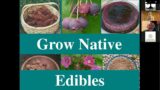 Grow Native Edibles (with Russ Cohen)