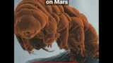 HUMAN COLONY ON MARS