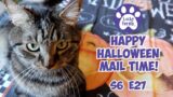 Happy Halloween Mail Time! S6 E27 Lucky Ferals Cat Videos