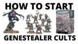 How to Start a Genestealer Cults Army in Warhammer 40K – Beginner 'Start Collecting' Guide!