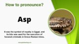 How to pronounce Asp Correctly in English