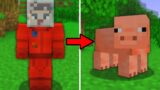 I Shapeshift to Cheat in Minecraft Hide and Seek!