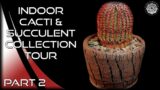 Indoor #Cacti & #Succulent Collection Tour | November 2022 | Part 2
