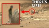 James Webb Telescope Sent Latest SHOCKING Images of Martian Life