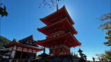 Kyoto Japan 2022 trip – Big Baller Style part 1