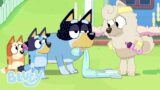 Let's Pretend to be Animals | Bluey