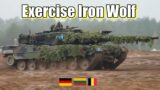 Lithuanian Iron Wolf Brigade takes part in countrys biggest Exercise – NATO
