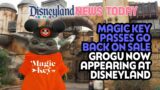 Magic Key Passes Go Back on Sale, Grogu Now Appearing at Disneyland