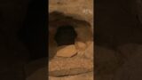 Mars: Perseverance Rover – Find a cave with a newly opened door at the base of the mountain #shorts