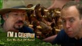 Matt & Boy George face ' La Cucaracha Cafe' eating trial | I'm A Celebrity… Get Me Out Of Here!