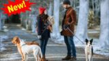 New Hallmark Romance Movies 2022 – Christmas Movies |The Dog Days of Christmas 2022 Full Movie