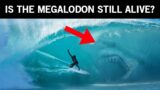 New Unexplained Megalodon Sightings Keep Scientists up for Night! Do They Still Exist?